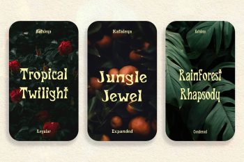 decorative display font