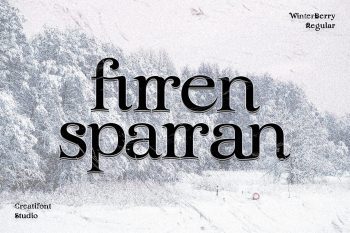 Display Font