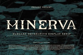 Elegant Decorative Display Serif Font