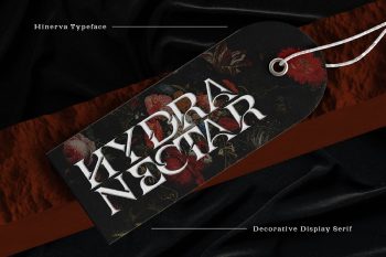 Elegant Decorative Display Serif Font