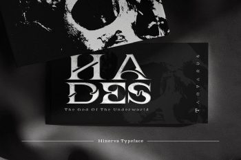 Elegant Decorative Display Serif Font