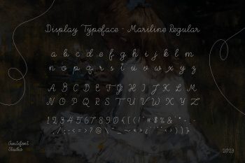 Monoline Script Font
