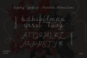 Monoline Script Font