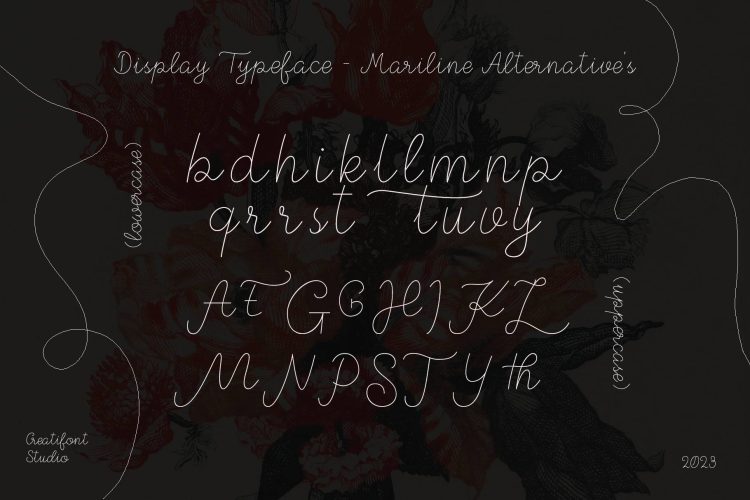 Monoline Script Font