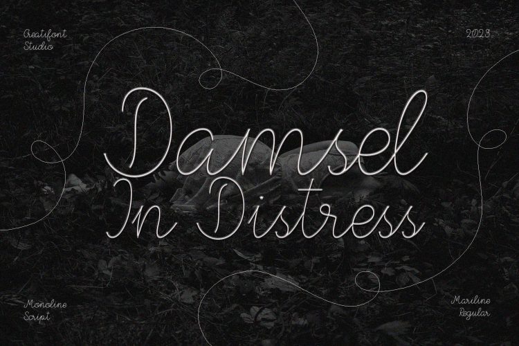 Monoline Script Font