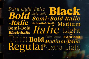 vintage family serif font