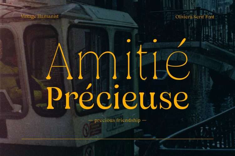 vintage family serif font
