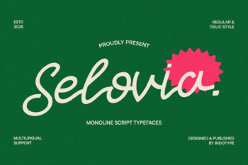 Selovia - Monoline Script Typeface
