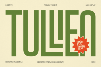 Geometric_Interlock_Sans Font_Tullien